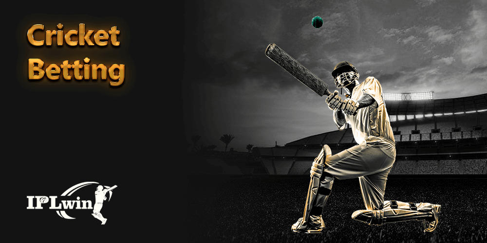 Esporte vip bet