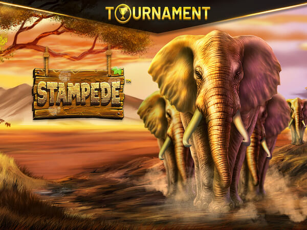 Spaceman jogo da sorte